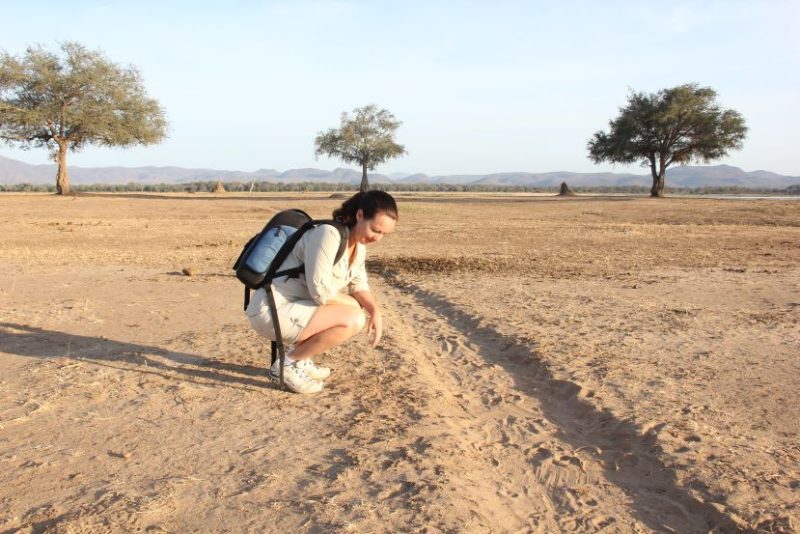 Walking safari, Zimbabwe, Mana Pool National Park