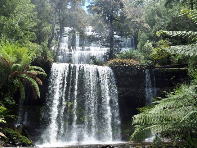 Tasmanian National Park, things to do in Hobart, Australia