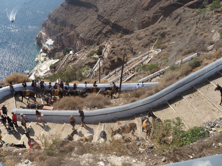 Santorini donkeys, Fira, Santorini, Greek Islands, Greece