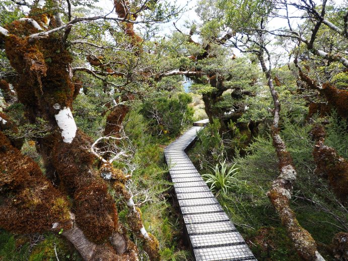 Routeburn Track, Ultimate Hikes, New Zealand, multi-day walks,