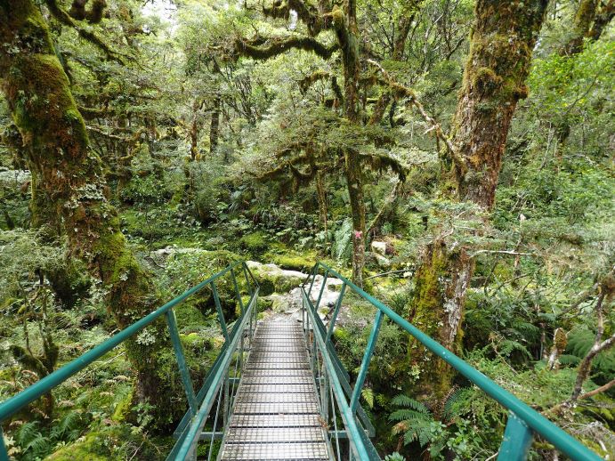 Routeburn Track, Ultimate Hikes, New Zealand, multi-day walks