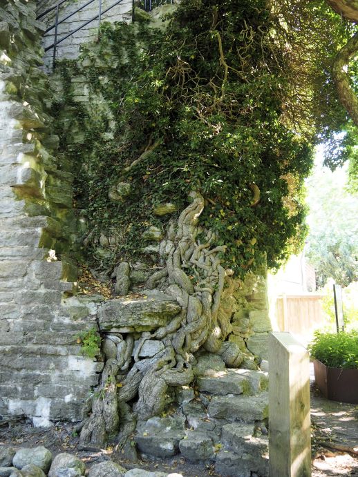 Visby Botanical gardens, Gotland, Sweden, Stockholm Archipelago, Medieval walled city