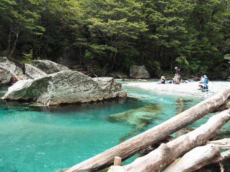 Routeburn Track, New Zealand, Ultimate Hikes, multi-day walks, mountain stream