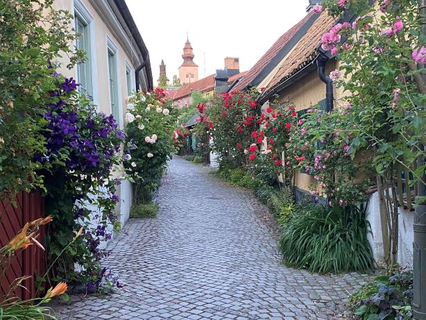 Gotland, Sweden, Stockholm Archipelago, beautiful laneways