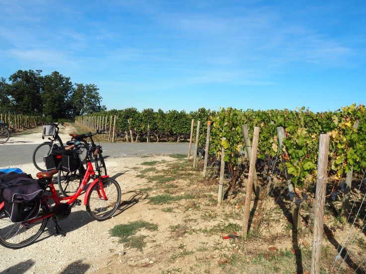 Rustic Vines, wine tour, St Emilion, Bordeaux, cycling tour