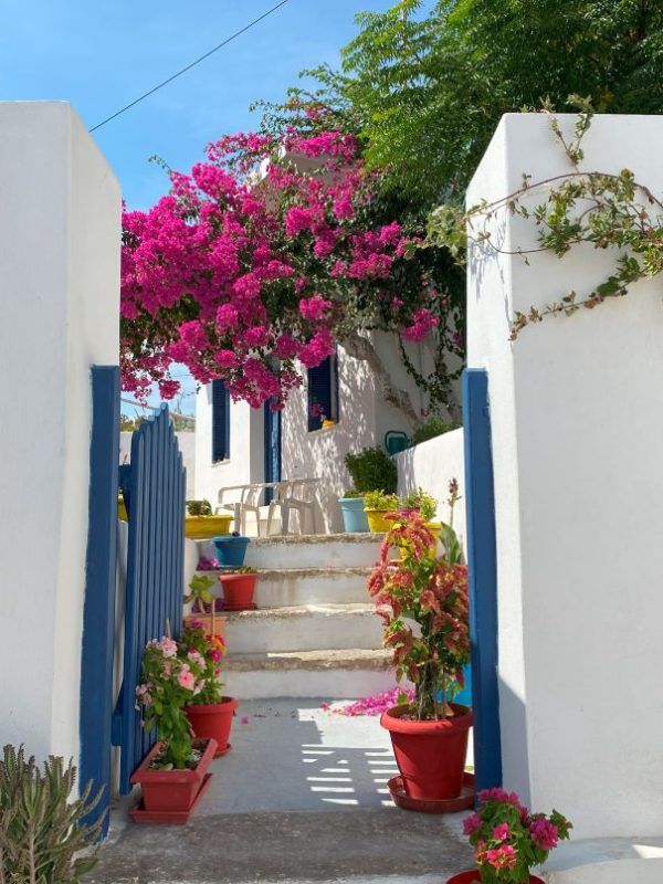 Greek Islands, Day trip from Naxos, Greece, Cyclades