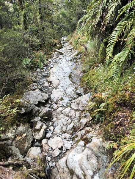 Routeburn Track, New Zealand, rough, rocky track, Ultimate Hikes,