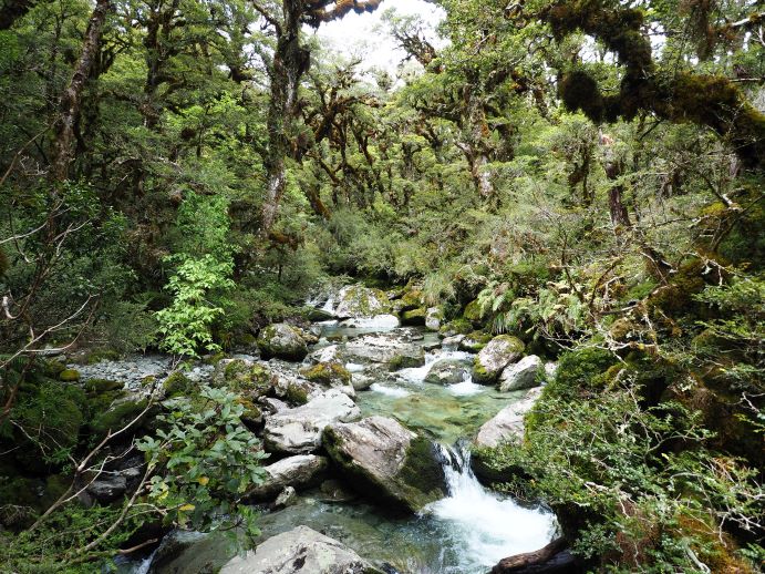 Routeburn Track, New Zealand, Ultimate Hikes, beautiful scenery