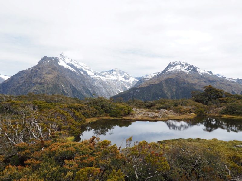 Routeburn Track, New Zealand, Ultimate Hikes, snow-capped mountains,