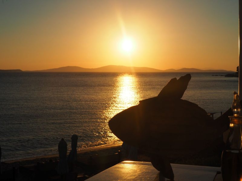 Hippie Fish Cafe, Mykonos, Greek Islands, Shirley Valentine filming location, Cyclades