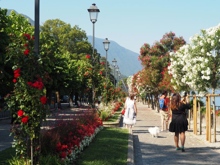 Lake Como, flowers, Lago di Como, Italian lakes