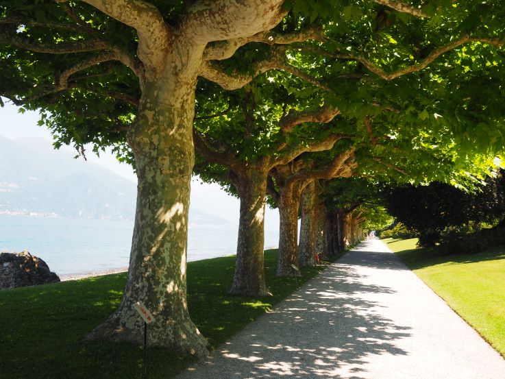 Bellagio, Lake Como, Italy