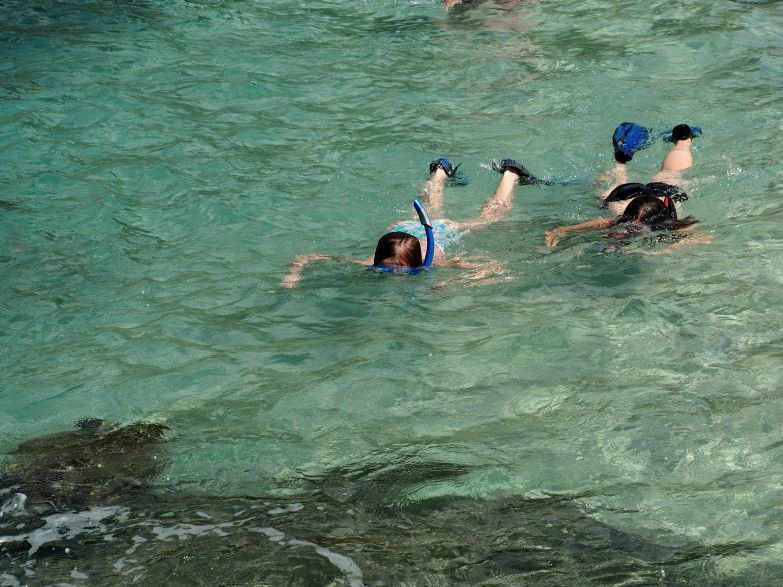 secret turtle beach, Oahu, Hawaii, swimming with turtles