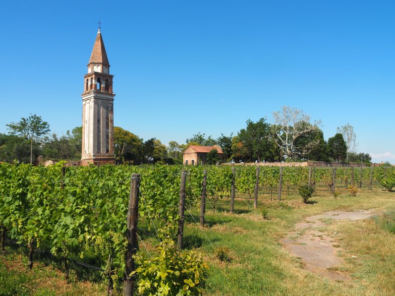 Venice winery, Burano, Italy