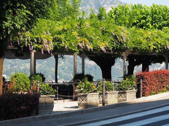 Bellagio, wisteria restaurant, Lake Como, Italy, lunch with a view