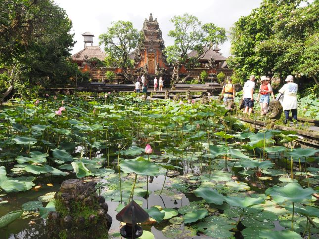 Lotus garden, Bali,