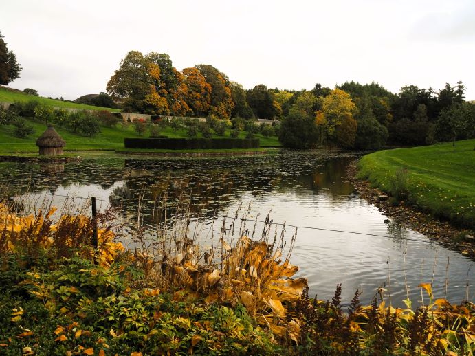 Autumn foliage, Blaire castle gardens, Perthshire