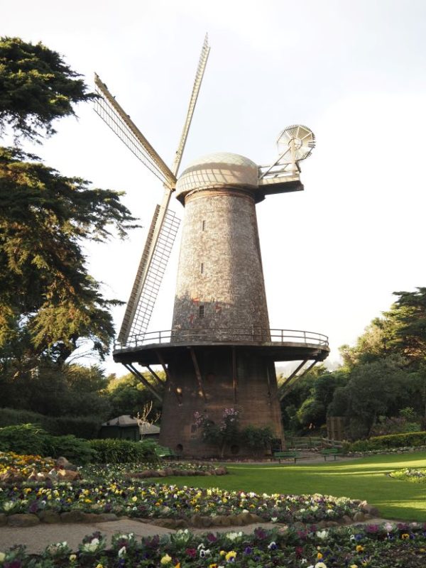 Dutch windmill, tulips, San Francisco, Golden Gate Park