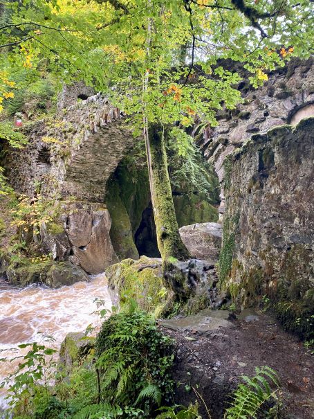 Black Linn Falls, The Hermitage, River Braan, Scotland