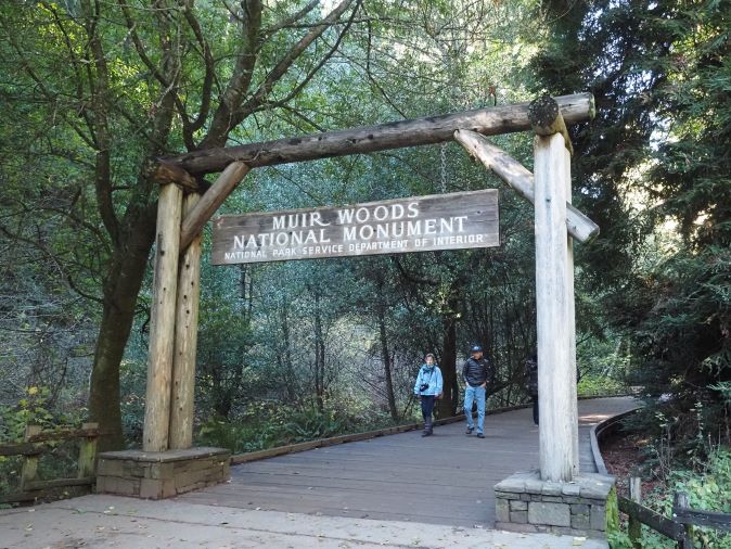 National monument, San Francisco, giant Redwood trees, 