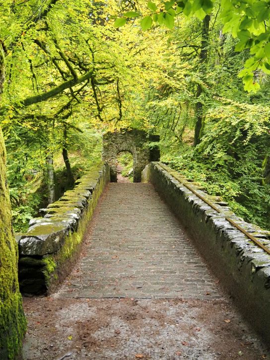 River Braan, The Hermitage, Scotland