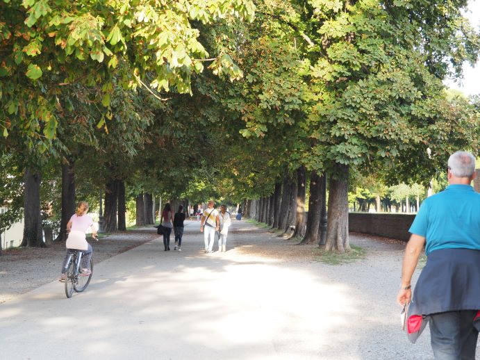 Medieval walled city, Lucca, Italy, city walls