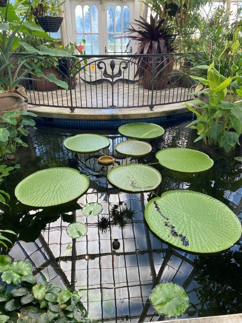 Conservatory of Flowers, Golden Gate Park, San Francisco