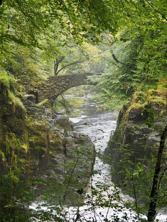 River Braan, the Hermitage, Scotland