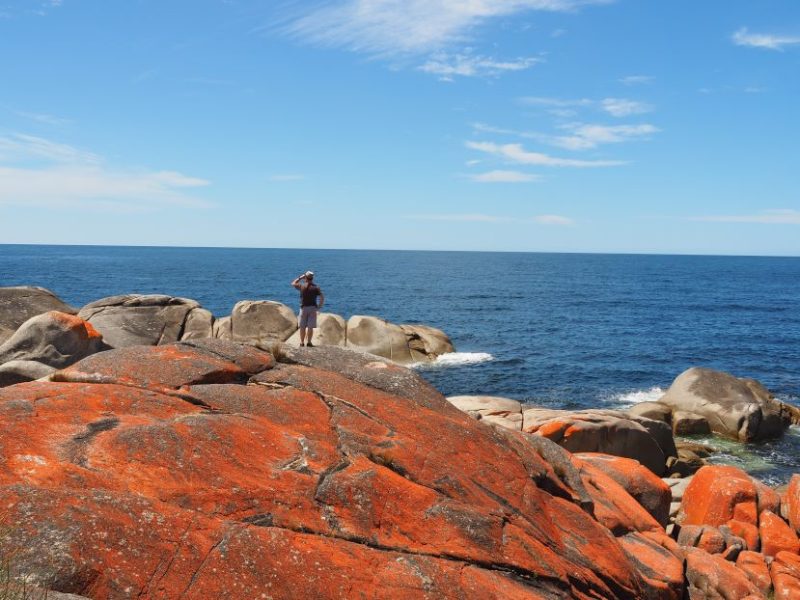 Naturally beautiful places, Bay of Fires, Tasmania, natural wonders, Australia