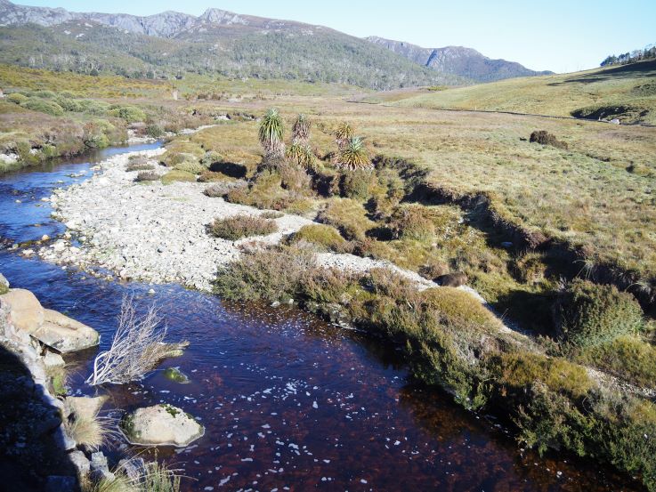 Cradle Mountain National Park, Tasmania, Australia, Australian native animals