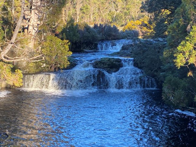 Cradle Mountain Lodge, Nature walks, Tasmania, Australia