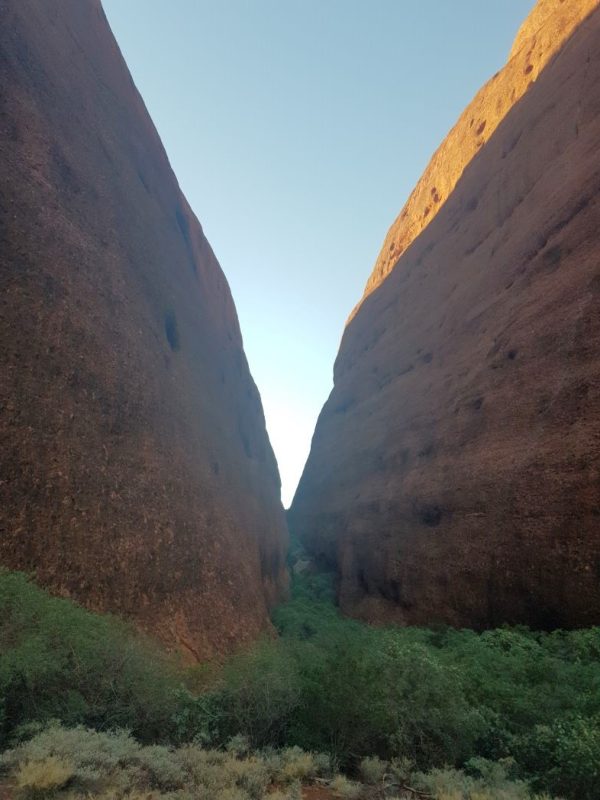 Uluru and Kata Tjuta National Park, Northern Territory, Australia