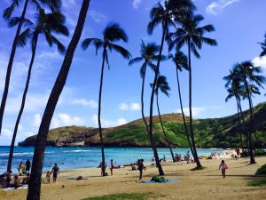 Hawaii, snorkeling, beach, Oahu, Postcards from Abroad