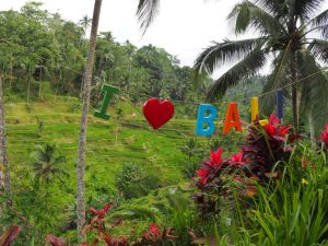 Ubud, Bali, rice terraces, Indonesia