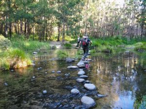 Carnarvon Gorge walk, Carnarvon Creek, hiking, Central Queensland, Carnarvon Gorge National Park, Australia