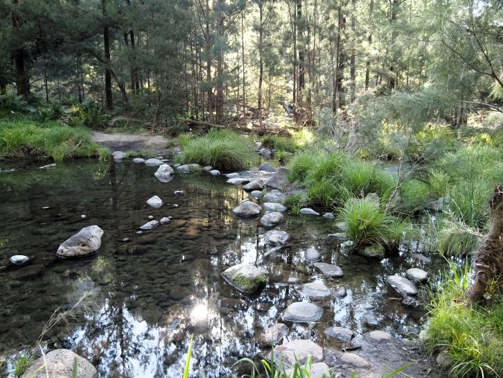 Carnarvon Gorge National Park, creek crossing main walk, stepping stones