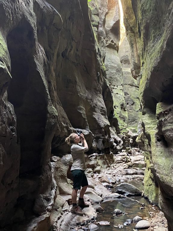 Warrumbah Creek Gorge, Carnarvon Gorge National Park, bush walking, nature photography