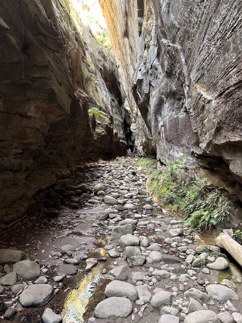 Carnarvon Gorge National Park, short walks, bush walking Queensland