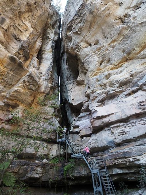 Carnarvon Gorge National Park, The Amphitheatre, hiking 