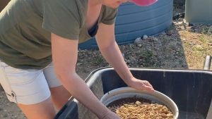 Gem hunters, central Queensland gemfields, bucket of wash, Bobby Dazzlers