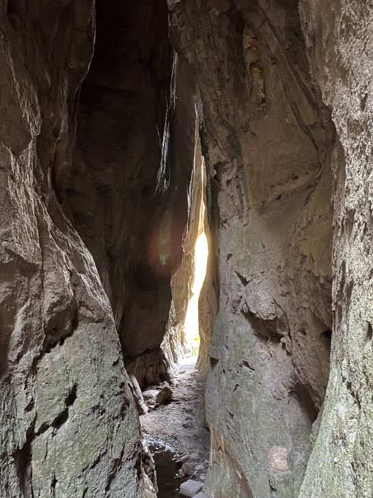 The Amphitheatre, Carnarvon Gorge National Park, hiking