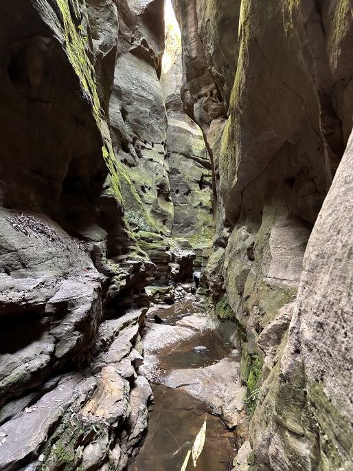 Warrumbah Creek Canyon, Carnarvon Gorge National Park, Queensland bush walking, 