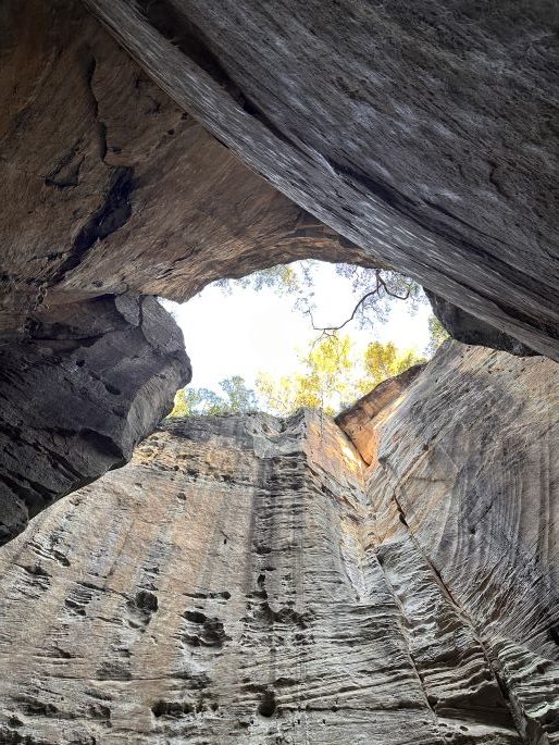 The Amphitheatre, Carnarvon Gorge National Park, hiking 