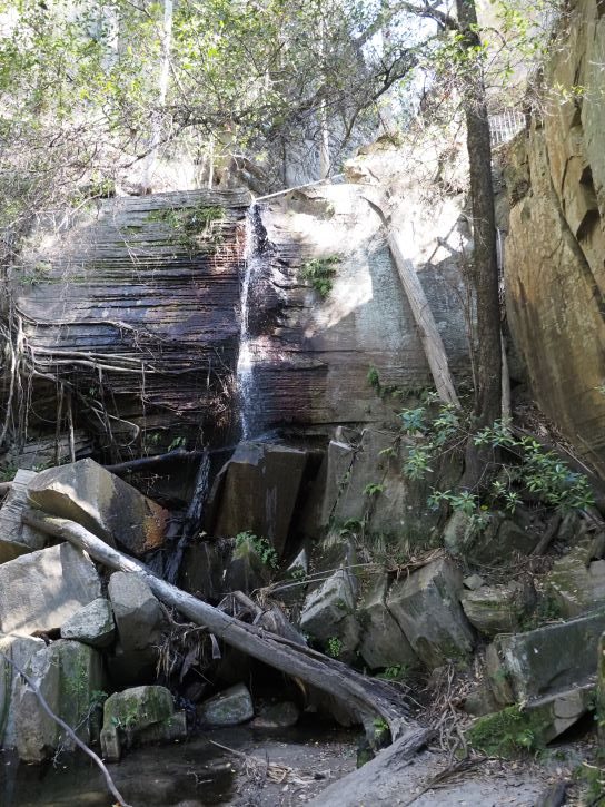 Wards Canyon, Carnarvon Gorge National Park, hiking