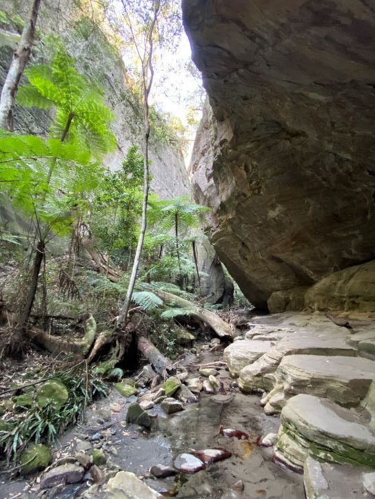 Carnarvon Gorge National Park, Queensland, hiking