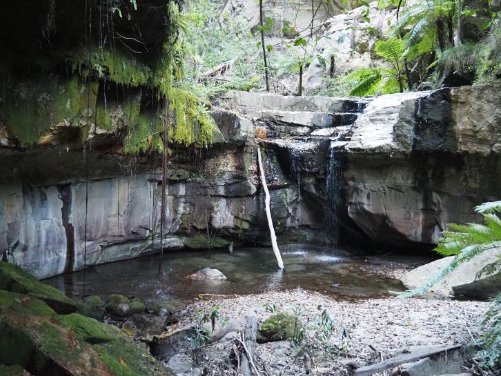 Carnarvon Gorge main walk, the Moss Garden, Queensland National Park