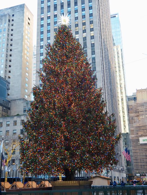 Christmas in New York, Christmas activities in New York, Christmas tree, New York City, winter in New York